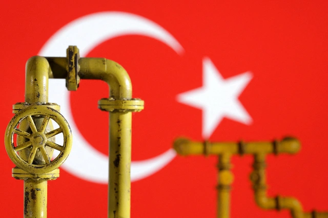 В Турции заявили, что смогут экспортировать в Европу газ из России и Азербайджана